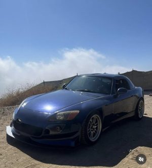 car dog memorial_before 3